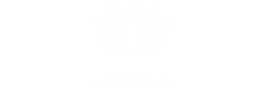 Logo de Profesional Shop